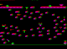 Level 14 - Yukons Revenge