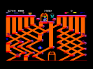 Level 11