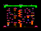 Level 13
