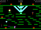 Level 5